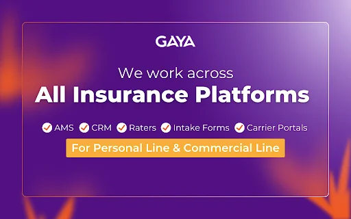Gaya: बीमा डेटा एंट्री को ऑटोमेट करें – सुपर-कॉपी और पेस्ट - Screenshot 4
