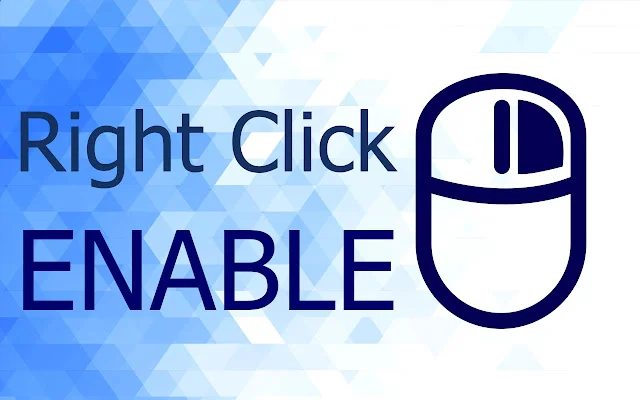 Enable Copy-Paste & Right-Click Mouse का उपयोग करें – Chrome के लिए - Screenshot 2