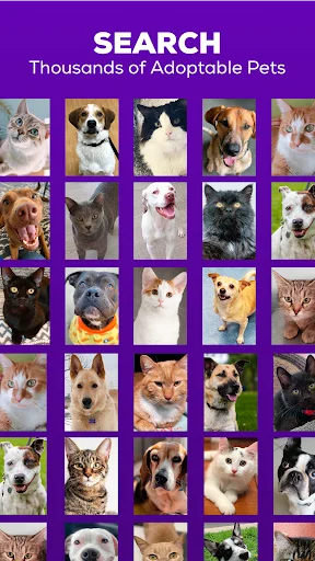 Petfinder – Adopt a Pet ऐप डाउनलोड करें: अपने पालतू जानवर को खोजें - Screenshot 1