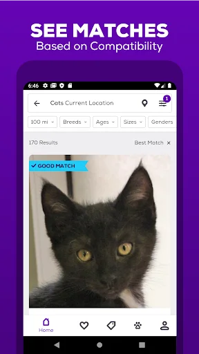 Petfinder – Adopt a Pet ऐप डाउनलोड करें: अपने पालतू जानवर को खोजें - Screenshot 2