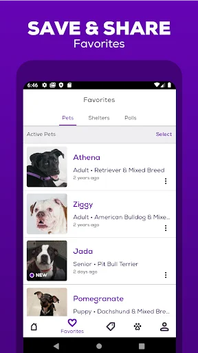 Petfinder – Adopt a Pet ऐप डाउनलोड करें: अपने पालतू जानवर को खोजें - Screenshot 4
